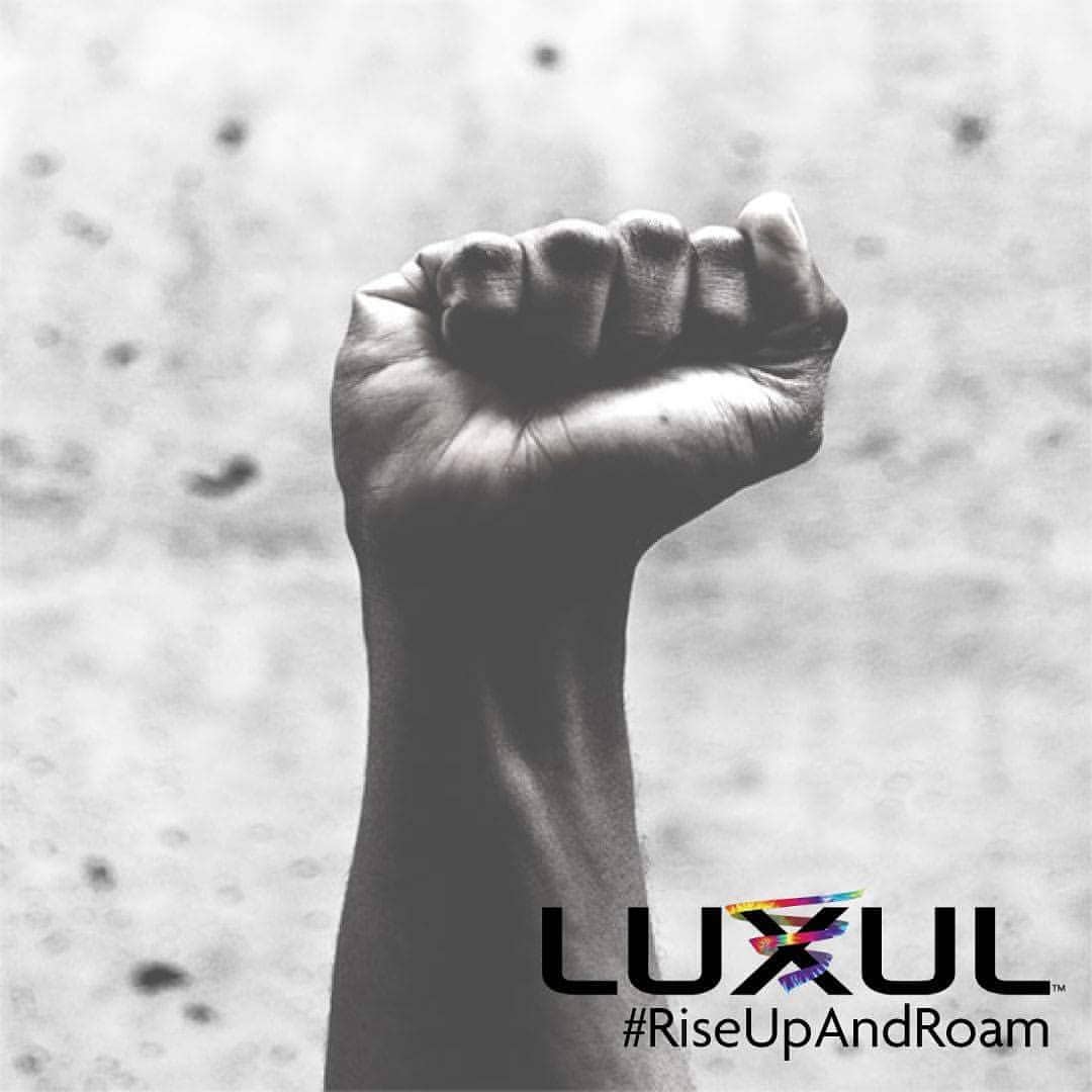 Концепция Rise Up And Roam от Luxul