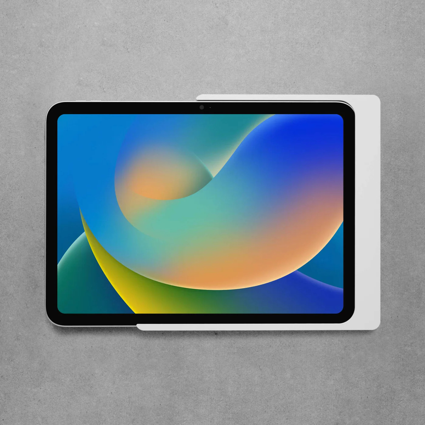 картинка SKU: DSP-1-12-1009-00 Настенное крепление Companion Wall Home для iPad белый Симпл дистрибьюшн
