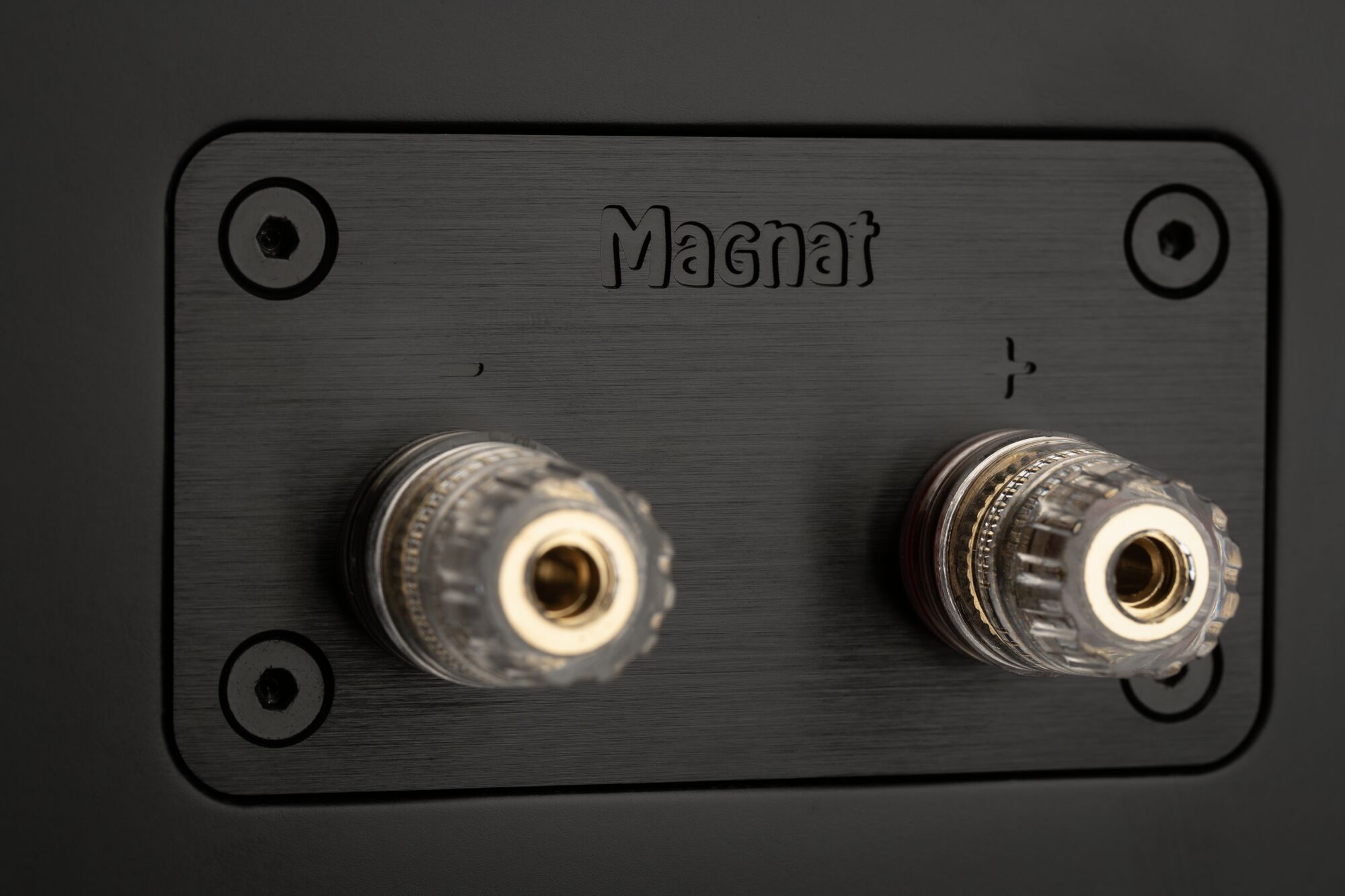 картинка Magnat Signature Edelstein Black Симпл дистрибьюшн